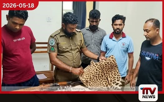 කෝටිපති ව්යාපාරිකයාගේ නිවසින් දිවියකුගේ සමක් සහ ගිනි අවි සමඟ සැකකරුවන් දෙදෙනෙක් අත්අඩංගුවට