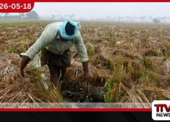අයහපත් කාලගුණයෙන් හානි වූ වගා බිම්වලට කෘෂි රක්ෂණ මණ්ඩලය හරහා කඩිනමින් වන්දි