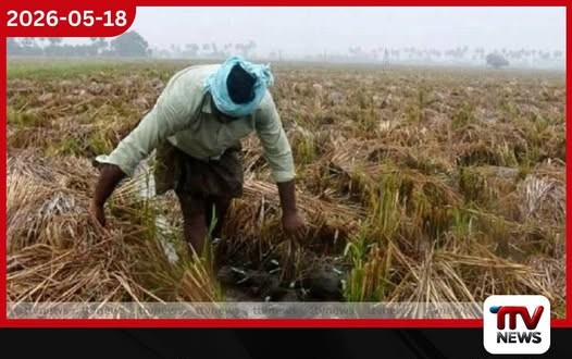 අයහපත් කාලගුණයෙන් හානි වූ වගා බිම්වලට කෘෂි රක්ෂණ මණ්ඩලය හරහා කඩිනමින් වන්දි