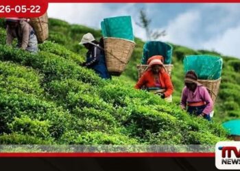 මැදපෙරදිග යුද්ධයෙන් සිලෝන් ටී ව්යාපාරයට මරු පහරක් තේ අපනයන ආදායම 17%කින් දරුණු ලෙස කඩා වැටෙයි