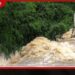 කැලණි ගඟ ද්‍රෝණියට  සුළු ගංවතුර අනතුරු ඇඟවීමක් ප්‍රදේශ කිහිපයක ජනතාවට  වහාම සූදානම් වන්නැයි දැනුම් දෙයි