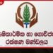 වැස්සෙන් සිදුවූ වගා හානි දින 14ක් ඇතුළත දැනුම් දෙන්න