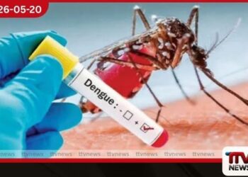 ඩෙංගු යළිත් හිස ඔසවයි දින 2කට වඩා උණ ඇත්නම්  වහාම වෛද්‍ය ප්‍රතිකාර ගන්න