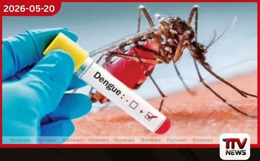 ඩෙංගු යළිත් හිස ඔසවයි දින 2කට වඩා උණ ඇත්නම් වහාම වෛද්ය ප්රතිකාර ගන්න