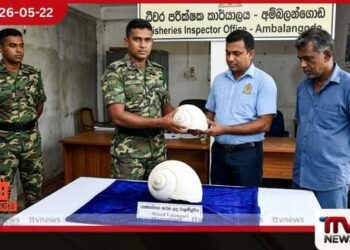 අම්බලන්ගොඩදී  වාලම්පුරියක් සමඟ  සැකකරුවෙකු  විශේෂ කාර්ය බලකායේ දැලට