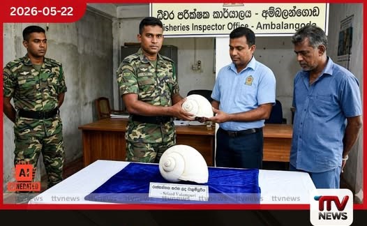 අම්බලන්ගොඩදී වාලම්පුරියක් සමඟ සැකකරුවෙකු විශේෂ කාර්ය බලකායේ දැලට