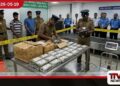 රුපියල් කෝටි 14කට අධික කුෂ් මත්ද්රව්ය සමඟ දෙදෙනෙකු කටුනායකදී අත්අඩංගුවට