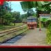කැලණි වැලි දුම්රිය මාර්ගයේ නඩත්තු කටයුත්තක් නිසා දුම්රිය ධාවනය සීමා කෙරේ