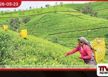 2026 වසරේ මුල් මාස හතරේදීත් ශ්රී ලංකාවේ තේ අපනයන පරිමාව පහළට
