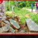 මියගිය රණවිරුවා සිහිකර ඉදි කළ බස් නැවතුම වෙළෙඳසල් හිමියෙක් කඩා බිඳ දමයි පල්ලම පොලිසියෙන් පරීක්ෂණ