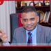 වසංගත කෘමීන් සහිත සෙවනැලි මල් නිදහස් කළ බවට එල්ල වූ චෝදනා කෘෂිකර්ම දෙපාර්තමේන්තුව ප්රතික්ෂේප කරයි