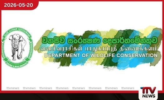වන අලි පාලනයට වනජීවී නිලධාරීන්ට අලුත්ම යතුරුපැදි 181ක් ඩේවිඩ් පීරිස් සමාගමට ප්රසම්පාදනය පිරිනමන්න කැබිනට් අනුමැතිය