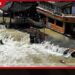 චීනයේ චොංචිං ප්රාන්තයේ ඇති වූ හදිසි ගංවතුරෙන් 3ක් මරුට; 17ක් අතුරුදන්