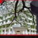මිල කල නොහැකි පොත් හතරක් පේරාදෙණියෙන් අතුරුදහන්: හිටපු උපකුලපති ළමාවංශ බලය අවභාවිතා කර රැගෙන ගිහින් !