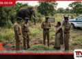 තිරුක්කෝවිල්හිදී වනඅලි ප්රහාරයකින් 63 හැවිරිදි පුද්ගලයෙකු ජීවිතක්ෂයට පත් වෙයි