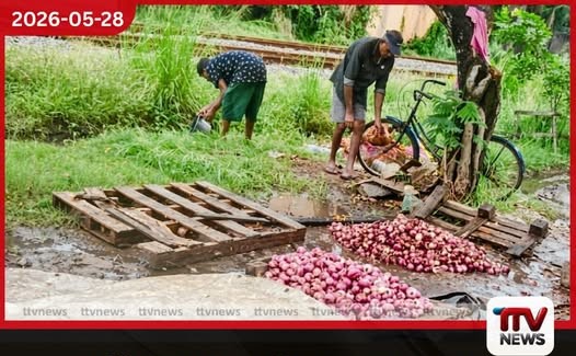 පරිභෝජනයට නුසුදුසු ලූනු කානු වතුරින් සෝදා විකිණූ මීගමුවේ පුද්ගලයකුට අධිකරණයෙන් වරෙන්තු