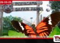 රිදියගම සෆාරි උද්යානයේ සමනල උද්යානය නවීකරණය කෙරේ