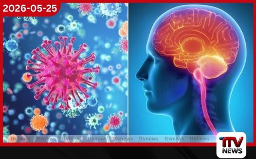 මෙනින්ජිටිස් රෝගය පැතිරීම වැළැක්වීමට වසංගත රෝග විද්යා අංශයෙන් පුළුල් මාර්ගෝපදේශ මාලාවක්