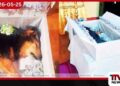 මල් ඇතිරූ මිනී පෙට්ටියකින්  අවසන් ගමන් ගිය තලවකැලේ ශ්‍රී මහින්දාරාමයේ බ්ලැකීට්