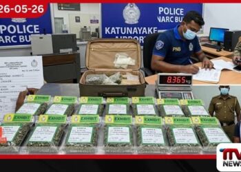 රුපියල් කෝටි 8ක  කුෂ් මත්ද්‍රව්‍ය තොගයක් සමඟ  කැෂියර්වරයෙක් කටුනායකදී අත්අඩංගුවට