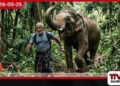 මී වද කඩන්නට කැළෑවට ගිය පුද්ගලයෙකු වනඅලි ප්රහාරයකින් ජීවිතක්ෂයට