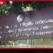 මෙරට ඉතිහාසයේ වැඩිම විදෙස් ප්රේෂණ ආදායම 2026 වසරේදී වාර්තා වනු ඇතැයි අපේක්ෂා කෙරේ