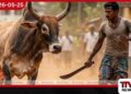 මහනුවර වෙසක් සතියේ සිදුවීමට ගිය  මහා ගව ඝාතනයක් වහාම නතර කරන්න ශ්‍රී විෂ්ණු දේවාලයේ බස්නායක නිලමේගෙන් පුරපතිට ලිඛිත ඉල්ලීමක්