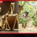 ආදිවාසී පාරම්පරික ඉඩම් ඔවුන් වෙත යළි ලබාදීමට මහවැලි අධිකාරිය එකඟ වේ