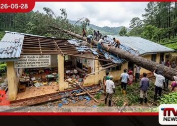 හැටන් ෆෝඩයිස් වතුයායේ පෙරපාසලක් මතට ගසක් කඩා වැටෙයි