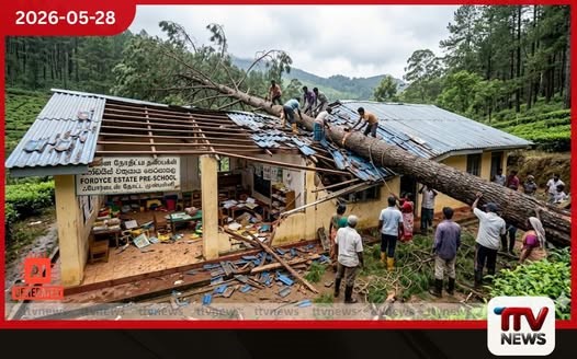 හැටන් ෆෝඩයිස් වතුයායේ පෙරපාසලක් මතට ගසක් කඩා වැටෙයි