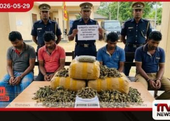 ගංජා තොගයක් සමඟ  සැකකරුවන් සිව්දෙනෙකු  ඇඹිලිපිටියේදී අත්අඩංගුවට