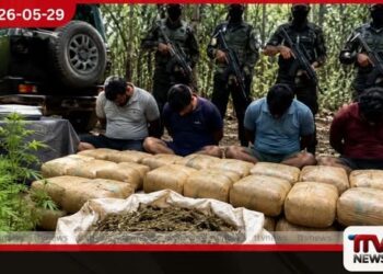 උඩවලව තේක්ක කැලේ සිදු කළ  රහසිගත ගංජා ජාවාරම ව්‍යර්ථ වේ  බහු අපරාධ චෝදනා සහිත  සැකකරුවන්‌ සිව්‌දෙනෙකු අත්‌අඩංගුවට
