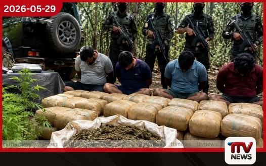උඩවලව තේක්ක කැලේ සිදු කළ රහසිගත ගංජා ජාවාරම ව්යර්ථ වේ බහු අපරාධ චෝදනා සහිත සැකකරුවන් සිව්දෙනෙකු අත්අඩංගුවට
