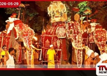 පෙරහැර සඳහා අලි ඇතුන් හිඟවීමෙන්  පවතින ගැටලු සහ  ආචාර්ය මුරුද්දෙනියේ ධම්මරතන  හිමියන්ගේ අදහස්