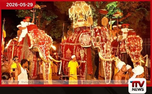 පෙරහැර සඳහා අලි ඇතුන් හිඟවීමෙන් පවතින ගැටලු සහ ආචාර්ය මුරුද්දෙනියේ ධම්මරතන හිමියන්ගේ අදහස්