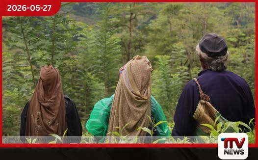 ලංකාවේ තේ වතුවල මලයහ දෙමළ ජනතාව බලහත්කාර ශ්රම සූරාකෑමකට ලක්වෙනවා