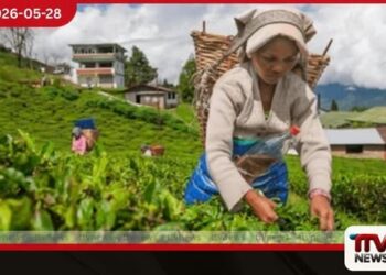රජයේ ඌන උපයෝජිත වතු ඉඩම් සහ දේපළ ආයෝජන සඳහා නිදහස් කිරීමේ දෙවැනි අදියර ඇරඹේ