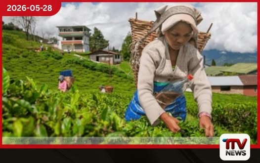 රජයේ ඌන උපයෝජිත වතු ඉඩම් සහ දේපළ ආයෝජන සඳහා නිදහස් කිරීමේ දෙවැනි අදියර ඇරඹේ