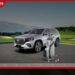 DIMO විසින් මෙහෙයවන MercedesTrophy 2026 ගොල්ෆ් තරගාවලිය ජූනි 6 වැනිදා නුවරඑළියේදී
