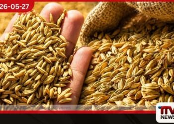 දේශීය වී නිෂ්පාදනය වාර්තාගත ලෙස ඉහළට