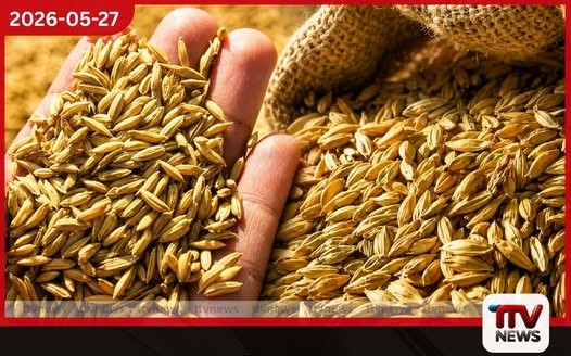 දේශීය වී නිෂ්පාදනය වාර්තාගත ලෙස ඉහළට
