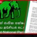 එක්සත් ජාතික පක්ෂයෙන්  විශේෂ නිවේදනයක්