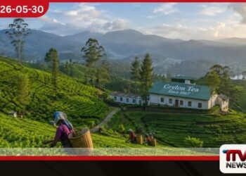 රජයේ වතු ඉඩම්  හෙක්ටයාර සිය ගණනක්  ආයෝජකයින් සඳහා විවෘත කෙරේ
