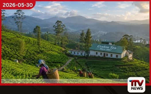 රජයේ වතු ඉඩම් හෙක්ටයාර සිය ගණනක් ආයෝජකයින් සඳහා විවෘත කෙරේ