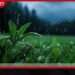 දිවයිනේ නිරිත දිග ප්රදේශවල හෙටත් වැසි සහිත කාලගුණයක්