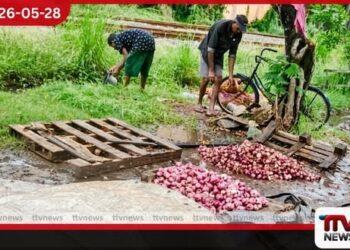 කුණු ලූනු අපවිත්ර ජලයෙන් සෝදා විකුණූ මීගමුවේ පුද්ගලයාට විවෘත වරෙන්තු වහාම අත්අඩංගුවට ගන්නා ලෙස නියෝග