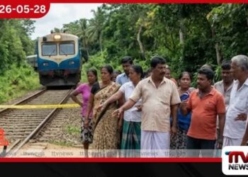 සාලියපුරදී දුම්රියේ ගැටී  දෙදරු මවක් ජීවිතක්ෂයට