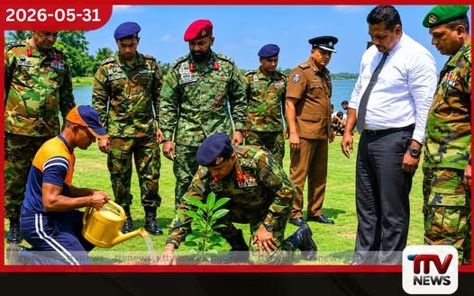 හුස්මෙන් හුස්මක් විරුතුරු සෙවණ පැළ සිටුවීමේ වැඩසටහන අම්පාරෙන් ඇරඹෙයි