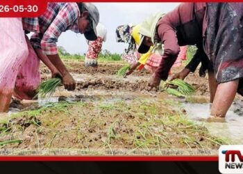 ලොකු ලූණු බීජ නිෂ්පාදන ගම්මානය නාච්චාදූවේදී සාර්ථකව ඇරඹෙයි