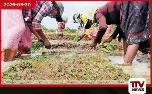 ලොකු ලූණු බීජ නිෂ්පාදන ගම්මානය නාච්චාදූවේදී සාර්ථකව ඇරඹෙයි